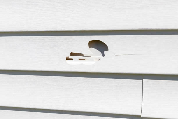 Professional Siding in Campbellsport, WI